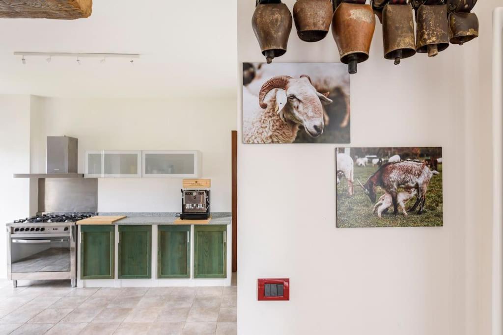 Agriturismo La Margherita San Giorgio Scarampi المظهر الخارجي الصورة
